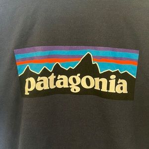 Men’s Patagonia Responsibili-tee